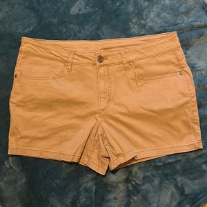 Kaki shorts